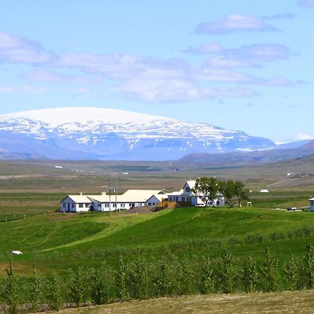 Guesthouse Steindorsstadir, West Iceland Reykholt  Eksteriør bilde
