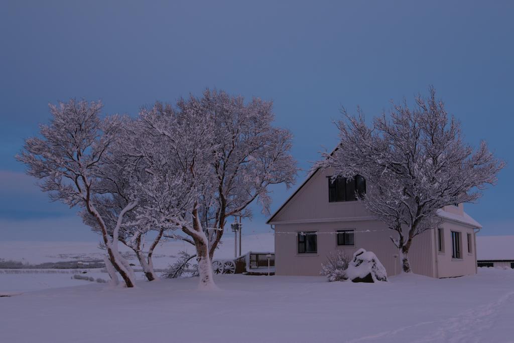 Guesthouse Steindorsstadir, West Iceland Reykholt  Eksteriør bilde