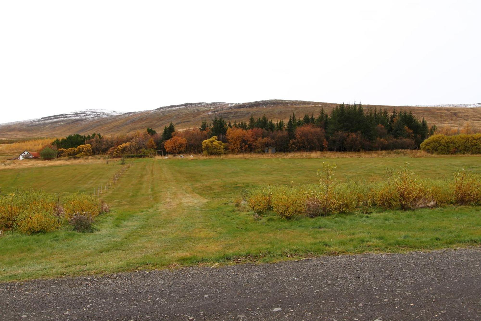 Guesthouse Steindorsstadir, West Iceland Reykholt  Eksteriør bilde