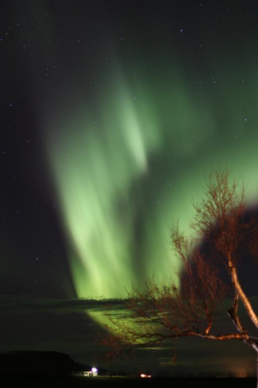 Guesthouse Steindorsstadir, West Iceland Reykholt  Eksteriør bilde