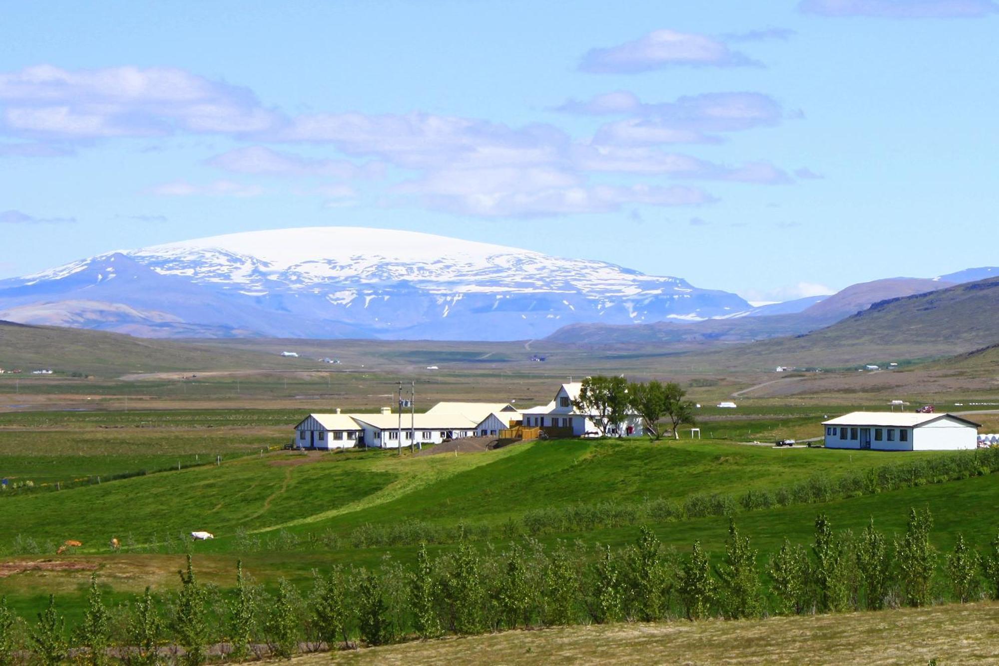 Guesthouse Steindorsstadir, West Iceland Reykholt  Eksteriør bilde